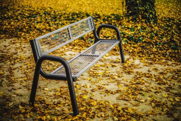 Parkbank im Herbstlaub