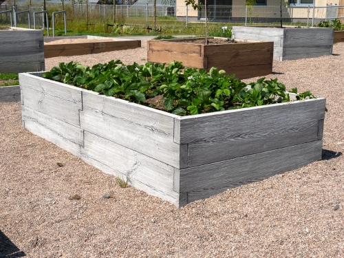 Beton-Gemüsegarten_BRETT-form_1_Typ_T_H-58cm_2.jpg