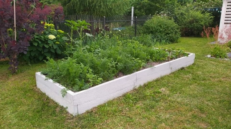 Beton-Gemüsegarten_BRETT-form_3_Typ_T_H-29cm_1.jpeg
