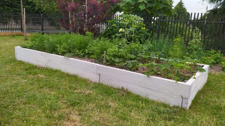 Beton-Gemüsegarten_BRETT-form_3_Typ_T_H-29cm_2.jpeg