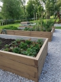 Beton-Gemüsegarten_BRETT-form_3_Typ_T_H-58cm_4.jpg