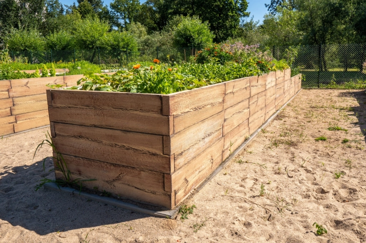 Beton-Gemüsegarten_BRETT-form_3_Typ_T_H-87cm_3.jpg