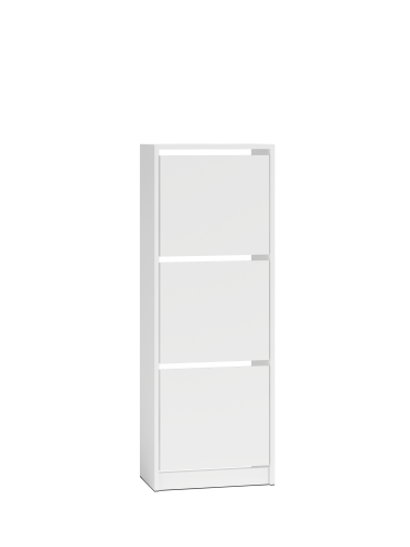 BETSI_3_BIEL1.png