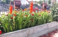 gemüsegarten_2_t_h_58cm_1.jpg