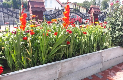 gemüsegarten_2_t_h_58cm_1.jpg