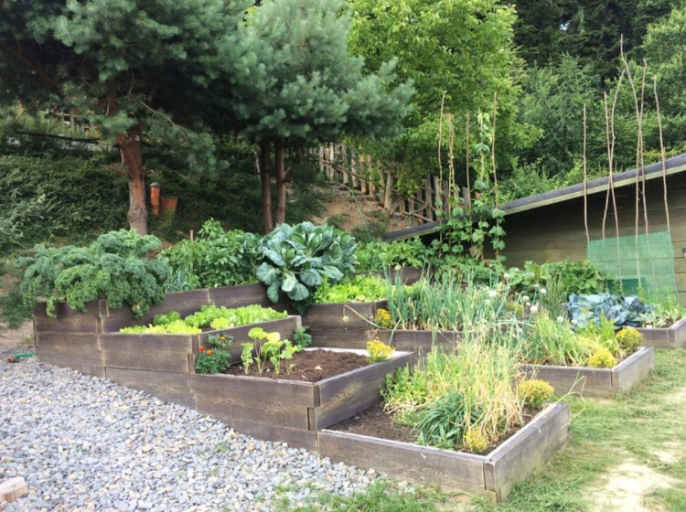 Beton-Gemüsegarten_brett_form_28_Typ_t_abgestuft_1.jpg