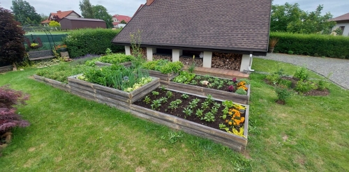 Beton-Gemüsegarten_halbstamm-form_3_Typ_H-54cm_1.jpg