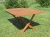 Gartentisch BRADFORD Länge 200 cm (1).webp