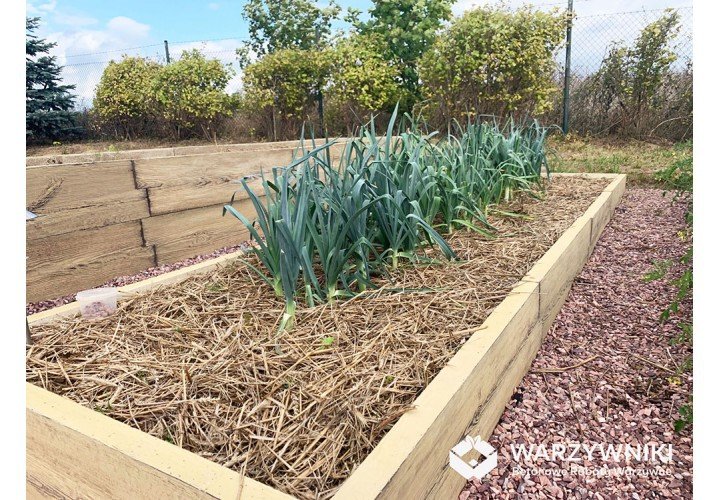 Hochbeet-aus-Beton-in-Holzbrett-Optik-Form-6-Typ-T-H-29-cm-3.jpg