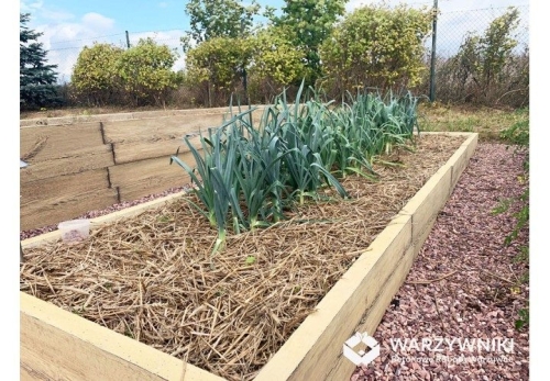 Hochbeet-aus-Beton-in-Holzbrett-Optik-Form-11-Typ-T-abgestuft-29-58-cm-4.jpg