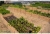 Hochbeet-aus-Beton-in-Holzbrett-Optik-Form-14-Typ-T-abgestuft-29-58-cm-5.jpg