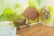 Kinderbank Merida Farbe Teak